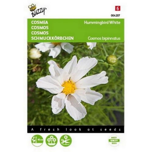 Buzzy® Cosmos, Cosmea Hummingbird White - afbeelding 1