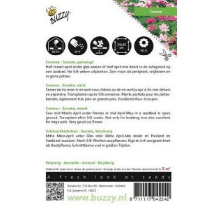 Buzzy® Cosmos, Cosmea Sonata gemengd - afbeelding 2