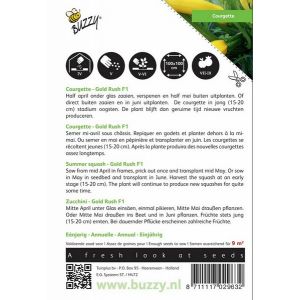 Buzzy® Courgette Gold Rush F1 - afbeelding 2