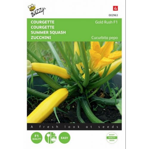 Buzzy® Courgette Gold Rush F1 - afbeelding 1
