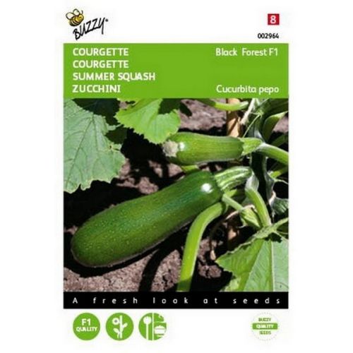 Buzzy® Courgette Klimmend Black Forest F1 - afbeelding 1