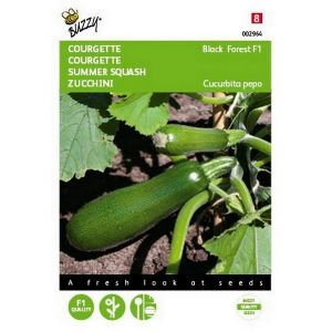 Buzzy® Courgette Klimmend Black Forest F1 - afbeelding 1