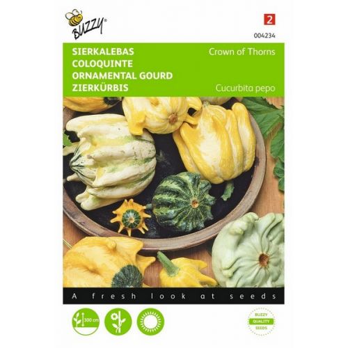 Buzzy® Cucurbita, Sierkalebas Crown of Thorns - afbeelding 1