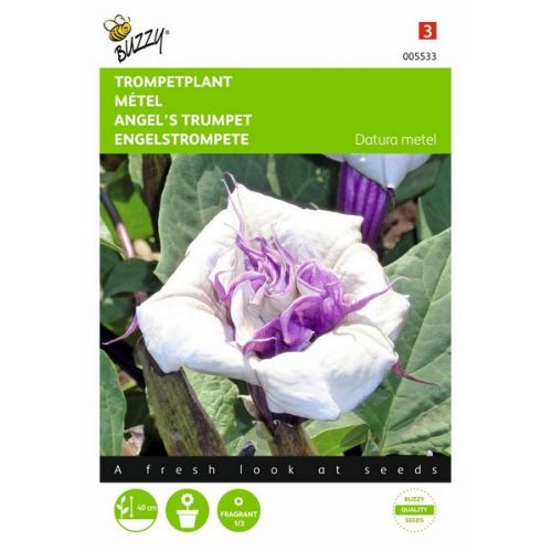 Buzzy® Datura, Trompetplant - afbeelding 1