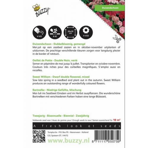 Buzzy® Dianthus, Duizendschoon dubbelbloemig gemengd - afbeelding 2