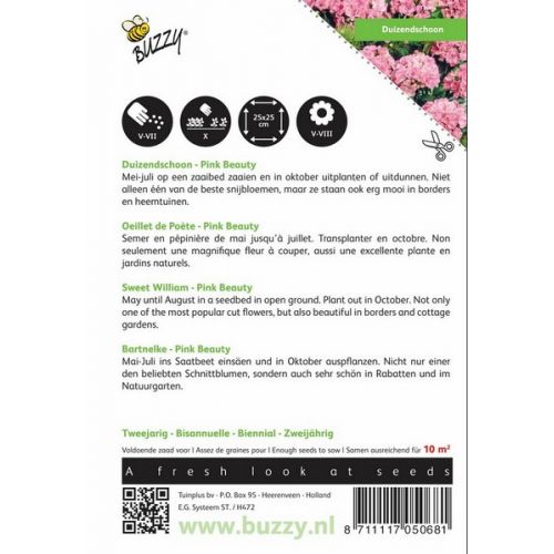Buzzy® Dianthus, Duizenschoon Pink Beauty - afbeelding 2