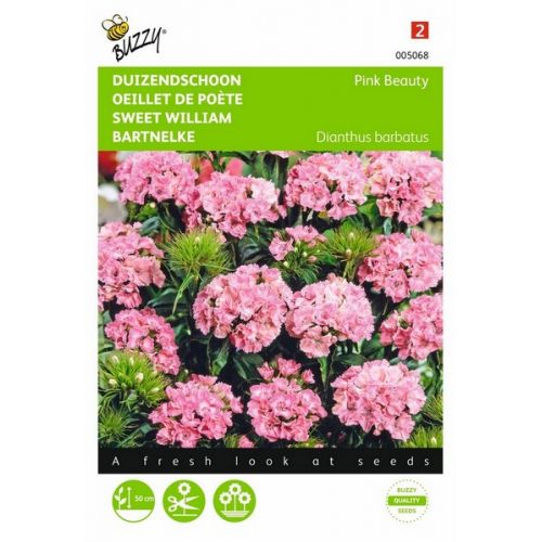 Buzzy® Dianthus, Duizenschoon Pink Beauty - afbeelding 1