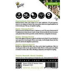 Buzzy® Digitalis, Vingerhoedskruid Dalmation F1 Peach - afbeelding 2
