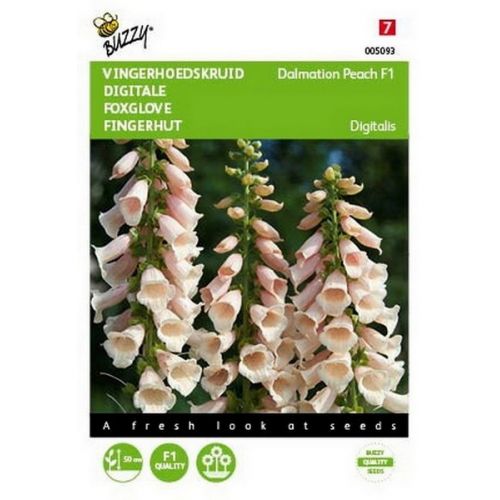 Buzzy® Digitalis, Vingerhoedskruid Dalmation F1 Peach - afbeelding 1