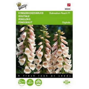 Buzzy® Digitalis, Vingerhoedskruid Dalmation F1 Peach - afbeelding 1