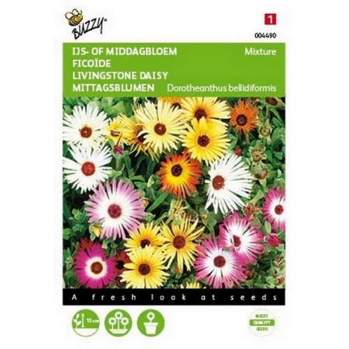 Buzzy® Dorotheanthus, IJsbloem kleurenmengsel - afbeelding 1