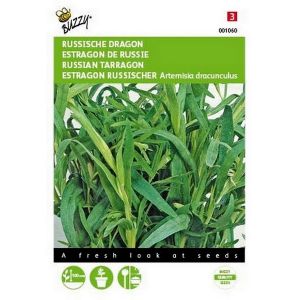 Buzzy® Dragon - afbeelding 1