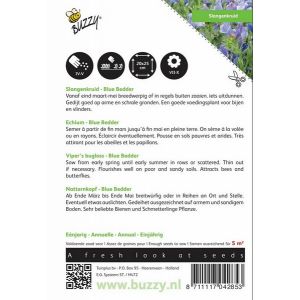 Buzzy® Echium, Slangenkruid Blue Bedder - afbeelding 2