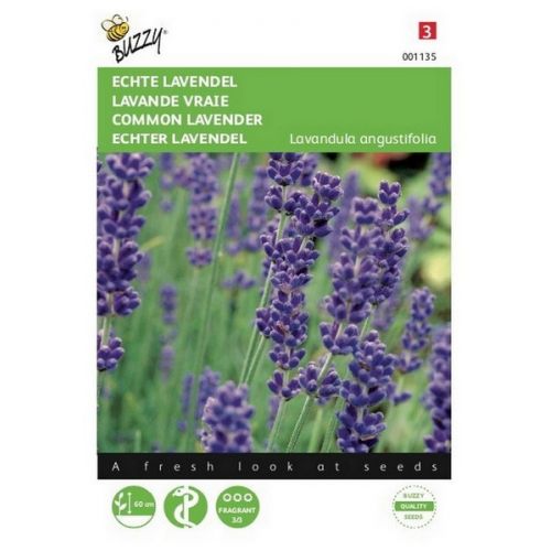 Buzzy® EcHortitopse Lavendel - afbeelding 1