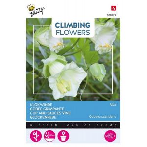 Buzzy® Flowering Climbers Cobaea Alba Wit - afbeelding 2