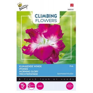 Buzzy® Flowering Climbers Ipomoea Dubbel Rose - afbeelding 1