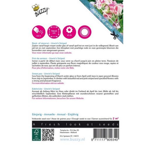 Buzzy® Flowering Climbers Lathyrus Unwin's Striped - afbeelding 2