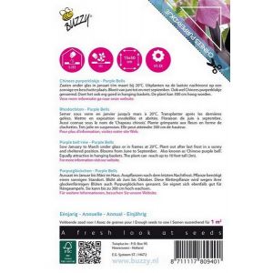 Buzzy® Flowering Climbers Rhodochiton Purple Bells - afbeelding 2