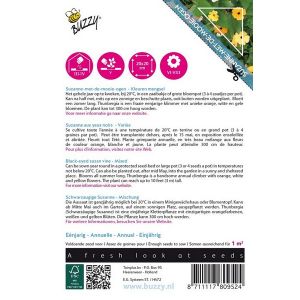 Buzzy® Flowering Climbers Thunbergia mixed - afbeelding 2