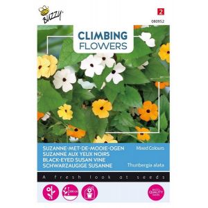 Buzzy® Flowering Climbers Thunbergia mixed - afbeelding 1