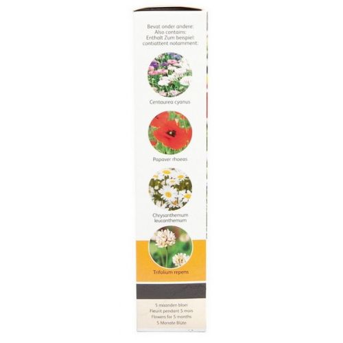 Buzzy® Friendly Flowers Bermenmengsel 15m² (16) - afbeelding 6