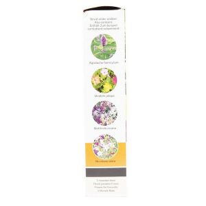 Buzzy® Friendly Flowers Geurende 15m² (16) - afbeelding 6