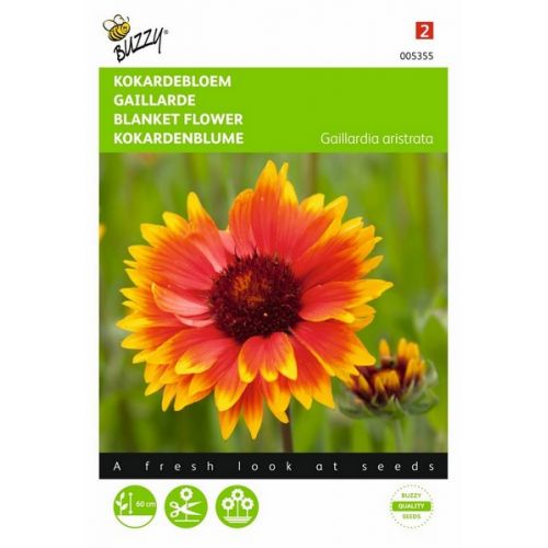 Buzzy® Gaillardia, Kokardebloem - afbeelding 1