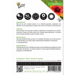 Buzzy® Gaillardia, Kokardebloem - afbeelding 2