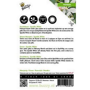 Buzzy® Gaura lindheimeri, PracHortitopskaars Sparkle White - afbeelding 2