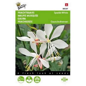 Buzzy® Gaura lindheimeri, PracHortitopskaars Sparkle White - afbeelding 1