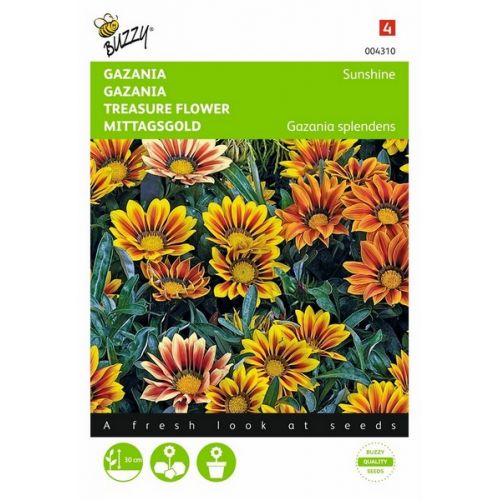 Buzzy® Gazania Sunshine gemengd - afbeelding 1