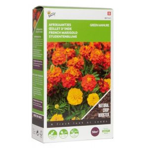 Buzzy® Groenbemester Tagetes 50 gram (8) - afbeelding 3