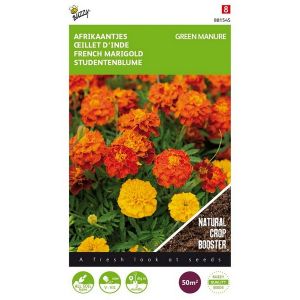 Buzzy® Groenbemester Tagetes 50 gram (8) - afbeelding 1