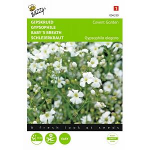 Buzzy® Gypsophila, Gipskruid Covent Garden - afbeelding 1