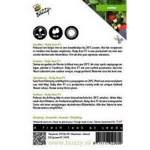 Buzzy® Hangaardbei Ruby Ann F1 roodbloeiend - afbeelding 2