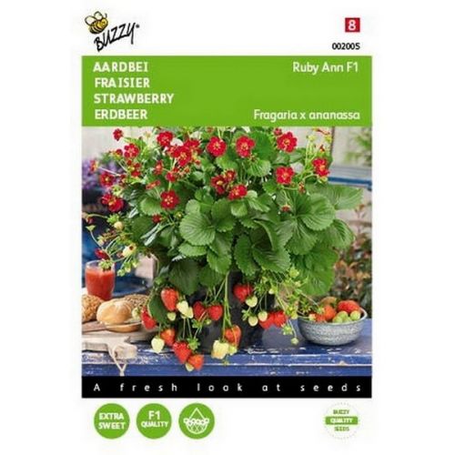 Buzzy® Hangaardbei Ruby Ann F1 roodbloeiend - afbeelding 1