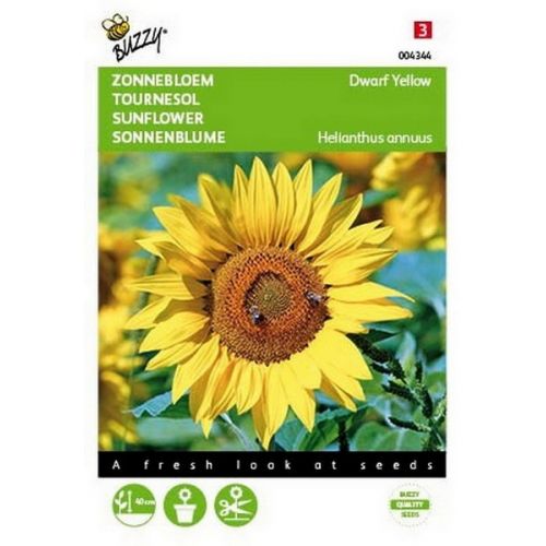 Buzzy® Helianthus, lage Zonnebloem Yellow - afbeelding 1