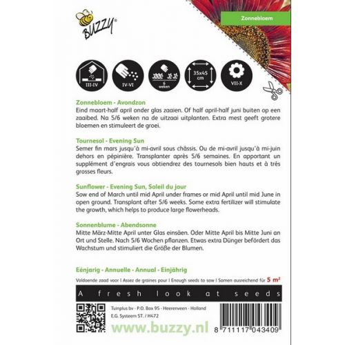 Buzzy® Helianthus, Zonnebloem Avondzon - afbeelding 2