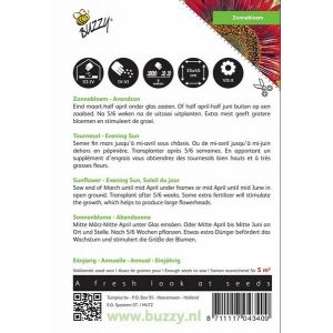 Buzzy® Helianthus, Zonnebloem Avondzon - afbeelding 2