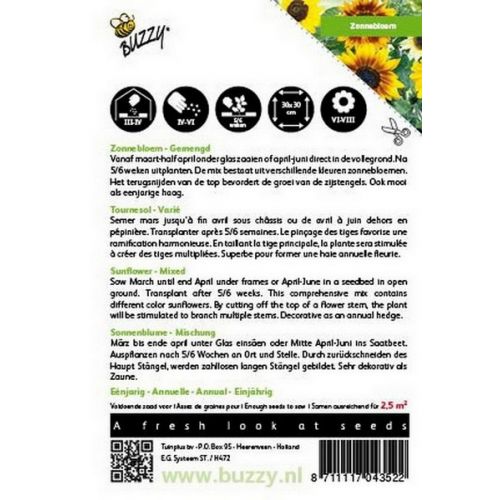 Buzzy® Helianthus, Zonnebloem gemengd - afbeelding 2