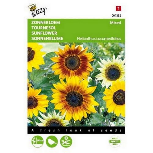 Buzzy® Helianthus, Zonnebloem gemengd - afbeelding 1