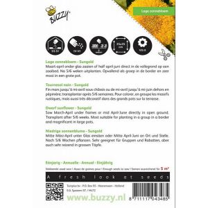 Buzzy® Helianthus, Zonnebloem Sungold dubbelbloemig laag - afbeelding 2