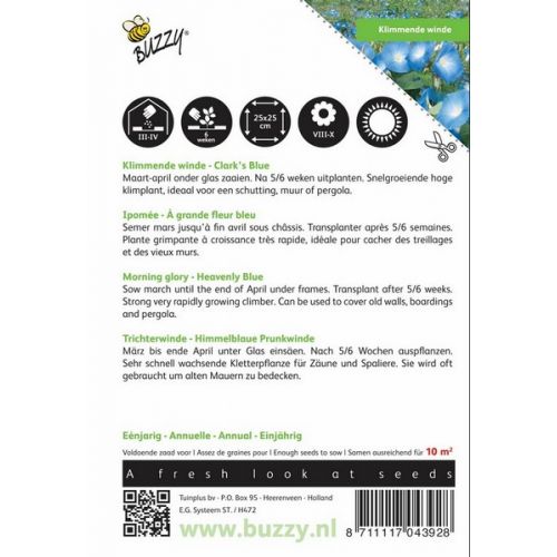 Buzzy® Ipomoea, Klimmende winde Clark’s Blue - afbeelding 2