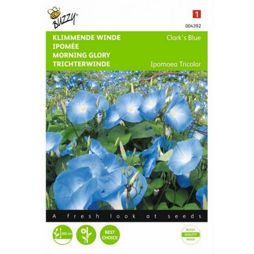 Buzzy® Ipomoea, Klimmende winde Clark’s Blue - afbeelding 1