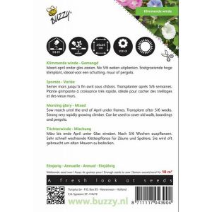 Buzzy® Ipomoea, Klimmende winde gemengd - afbeelding 2