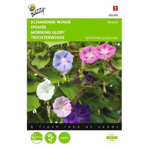 Buzzy® Ipomoea, Klimmende winde gemengd - afbeelding 1