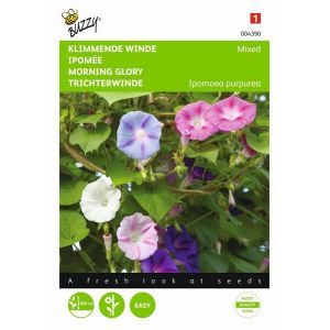 Buzzy® Ipomoea, Klimmende winde gemengd - afbeelding 1