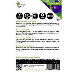 Buzzy® Ipomoea, Klimmende winde Grandpa Ott - afbeelding 2