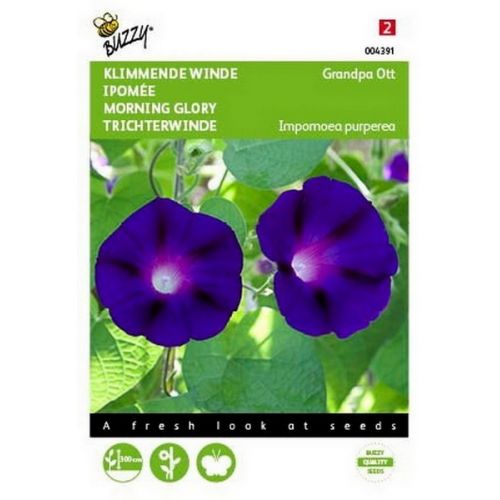 Buzzy® Ipomoea, Klimmende winde Grandpa Ott - afbeelding 1