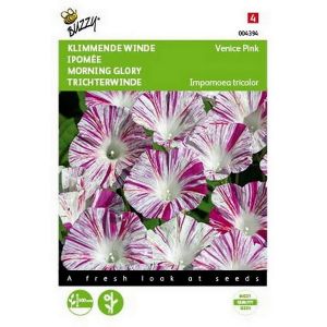 Buzzy® Ipomoea, Klimmende winde Venice Pink - afbeelding 1